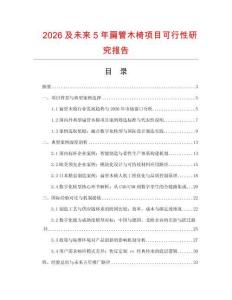 2026及未來5年扁管木椅項目可行性研究報告
