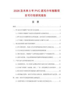 2026及未來5年PVC底毛巾布拖鞋項目可行性研究報告