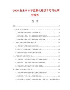 2026及未來5年氫氧化鈀項目可行性研究報告