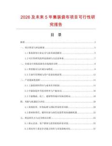 2026及未來5年集裝袋布項目可行性研究報告