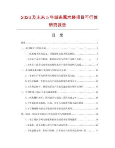 2026及未來5年絨條魔術棒項目可行性研究報告