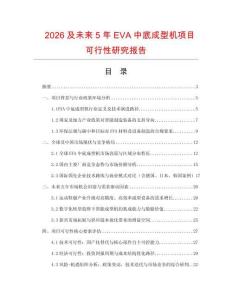 2026及未來5年EVA中底成型機項目可行性研究報告