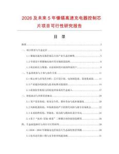 2026及未來5年鎳鎘高速充電器控制芯片項目可行性研究報告