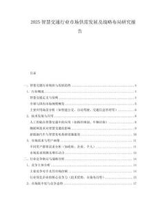 2025智慧交通行業市場供需發展及戰略布局研究報告