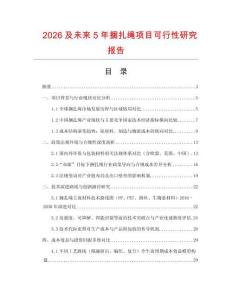2026及未來5年捆扎繩項目可行性研究報告