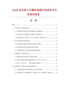 2026及未來5年霓虹造型燈泡項目可行性研究報告