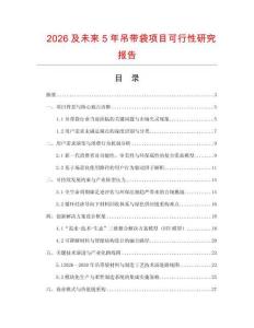 2026及未來5年吊帶袋項目可行性研究報告