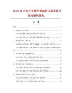 2026及未來5年豪華型越野頭盔項目可行性研究報告