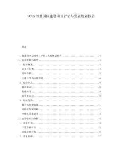 2025智慧園區(qū)建設(shè)項(xiàng)目評(píng)估與發(fā)展規(guī)劃報(bào)告