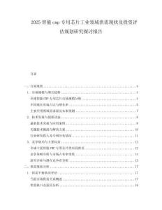 2025智能cmp專用芯片工業領域供需現狀及投資評估規劃研究探討報告