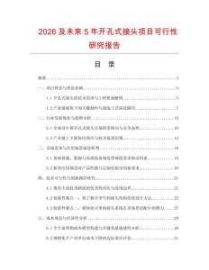 2026及未來5年開孔式接頭項目可行性研究報告