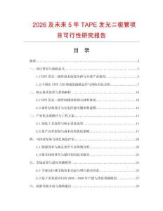 2026及未來5年TAPE發光二極管項目可行性研究報告