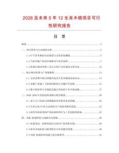2026及未來5年12生肖木梳項目可行性研究報告
