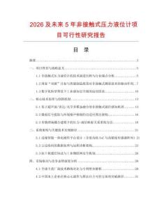 2026及未來5年非接觸式壓力液位計項目可行性研究報告