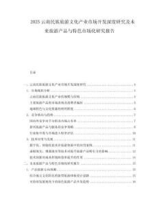 2025云南民族旅游文化產業市場開發深度研究及未來旅游產品與特色市場化研究報告