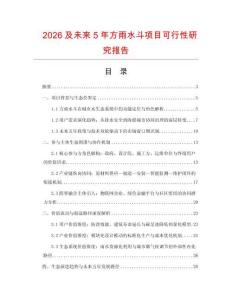 2026及未來5年方雨水斗項目可行性研究報告