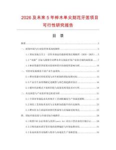 2026及未來5年樺木單尖刻花牙簽項目可行性研究報告