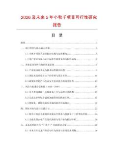 2026及未來5年小秋千項目可行性研究報告