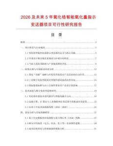 2026及未來5年氧化鋯智能氧化量指示變送器項目可行性研究報告
