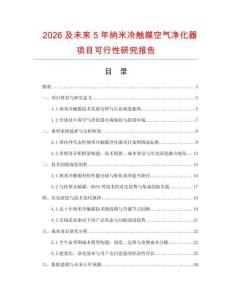 2026及未來5年納米冷觸媒空氣凈化器項(xiàng)目可行性研究報(bào)告