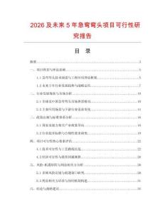 2026及未來5年急彎彎頭項(xiàng)目可行性研究報(bào)告