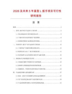 2026及未來5年星型L扳手項目可行性研究報告