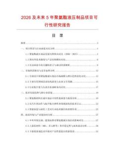 2026及未來5年聚氨酯液壓制品項(xiàng)目可行性研究報(bào)告