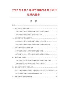 2026及未來5年細(xì)氣泡曝氣盤項(xiàng)目可行性研究報(bào)告