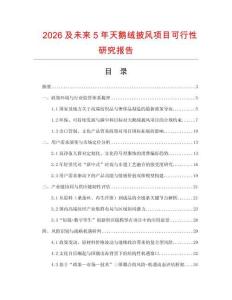 2026及未來5年天鵝絨披風項目可行性研究報告