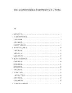 2025骁屁瘦翎渠嫁醢磁衙檎泄坷分析发展研究报告