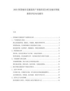 2025智慧城市交通監控產業鏈供需分析及城市智能投資評估布局報告