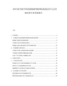 2025航空航空科技新能源駕駛國際航線競爭方式市場經濟行業發展報告