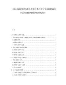2025海底深潛機器人探測技術(shù)應(yīng)用行業(yè)市場供需分析投資評估規(guī)劃分析研究報告