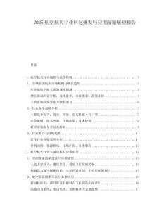 2025航空航天行業(yè)科技研發(fā)與應(yīng)用前景展望報(bào)告