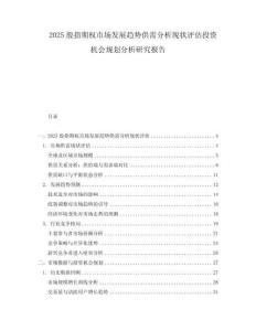 2025股指期權市場發展趨勢供需分析現狀評估投資機會規劃分析研究報告
