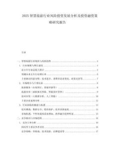 2025智慧旅游行業風險投資發展分析及投資融資策略研究報告