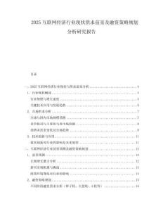 2025互聯(lián)網(wǎng)經(jīng)濟行業(yè)現(xiàn)狀供求前景及融資策略規(guī)劃分析研究報告