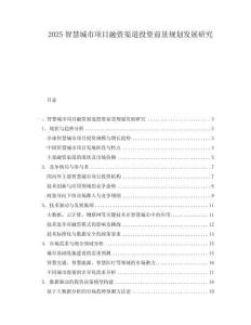 2025智慧城市項目融資渠道投資前景規劃發展研究