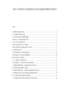 2025互聯網行業投資收益分析及融資策略研究報告