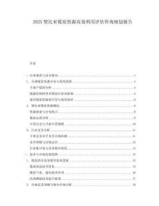 2025贊比亞煤炭資源高效利用評(píng)估咨詢規(guī)劃報(bào)告