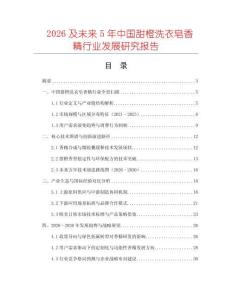 2026及未來5年中國甜橙洗衣皂香精行業發展研究報告
