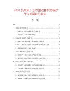 2026及未來5年中國雙排爐排鍋爐行業(yè)發(fā)展研究報告