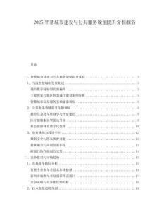 2025智慧城市建設(shè)與公共服務(wù)效能提升分析報(bào)告