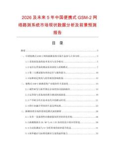 2026及未來5年中國便攜式GSM-2網(wǎng)絡(luò)路測系統(tǒng)市場現(xiàn)狀數(shù)據(jù)分析及前景預(yù)測報告