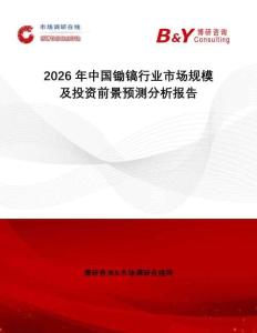 2026年中國鋤鎬行業(yè)市場規(guī)模及投資前景預(yù)測分析報(bào)告