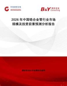 2026年中國鋯合金管行業市場規模及投資前景預測分析報告