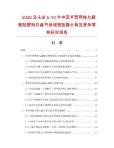 2026及未來5-10年中國單面網(wǎng)格九腳超輕塑料托盤市場調(diào)查數(shù)據(jù)分析及競爭策略研究報(bào)告