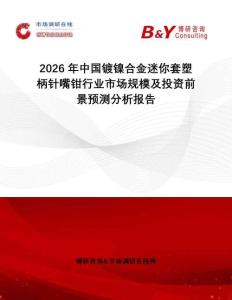 2026年中國鍍鎳合金迷你套塑柄針嘴鉗行業(yè)市場規(guī)模及投資前景預測分析報告