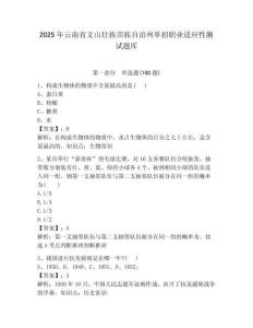 2025年云南省文山壯族苗族自治州單招職業適應性測試題庫帶答案解析