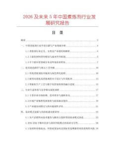 2026及未來5年中國煮煉劑行業發展研究報告